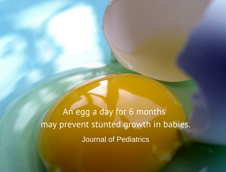 An Egg a Day Could Change Infant Growth Rates